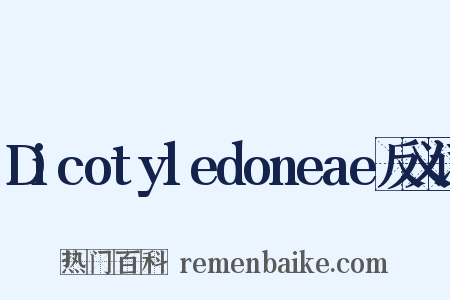 Dicotyledoneae反义词是什么意思的图片